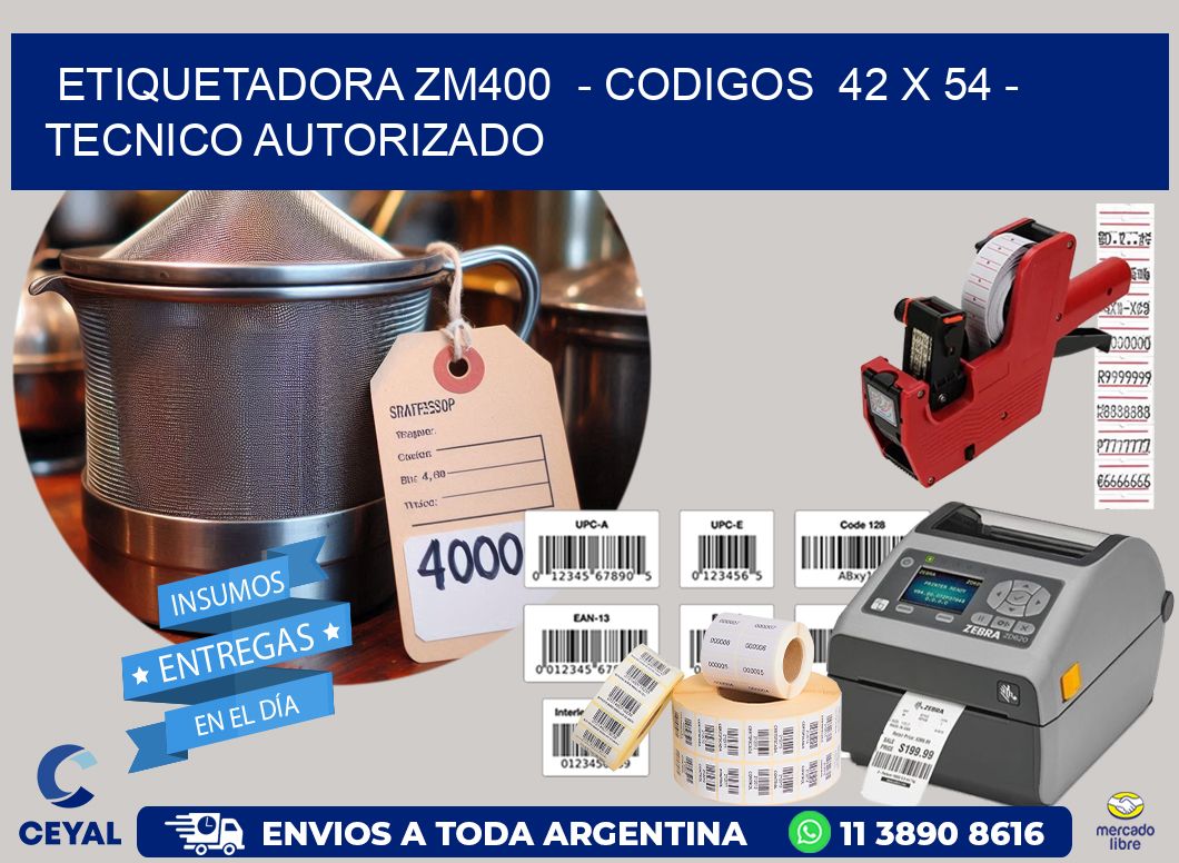 ETIQUETADORA ZM400  - CODIGOS  42 x 54 - TECNICO AUTORIZADO