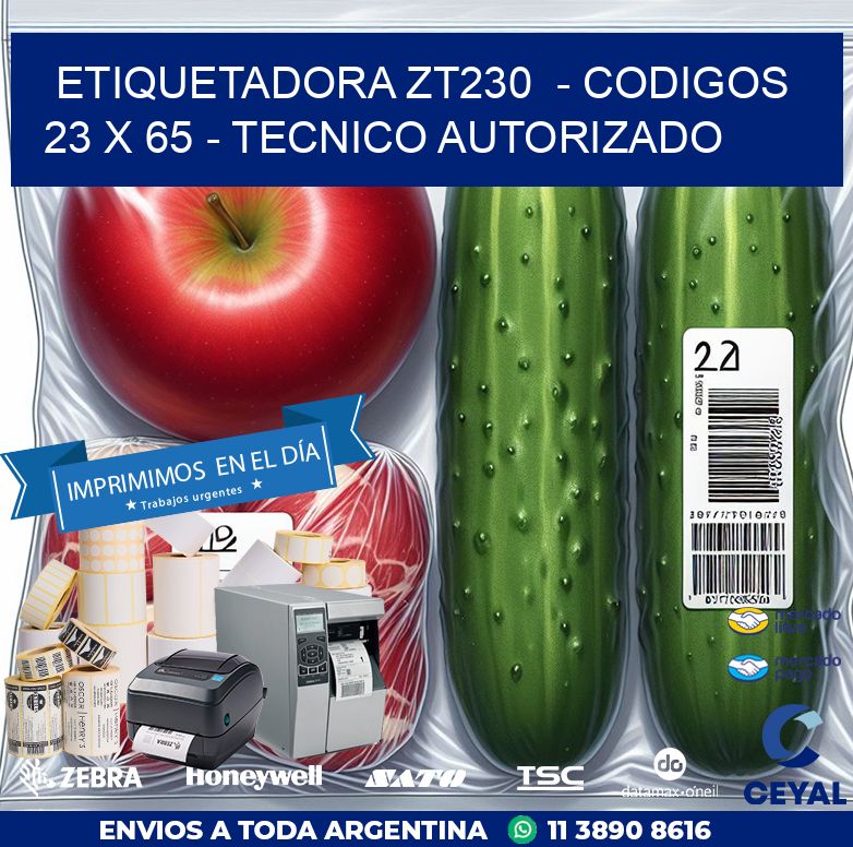 ETIQUETADORA ZT230  – CODIGOS  23 x 65 – TECNICO AUTORIZADO