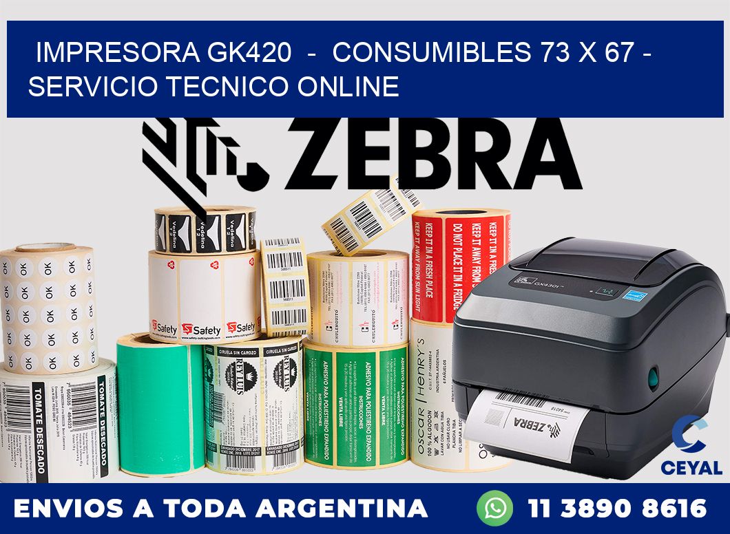 IMPRESORA GK420  -  CONSUMIBLES 73 x 67 - SERVICIO TECNICO ONLINE