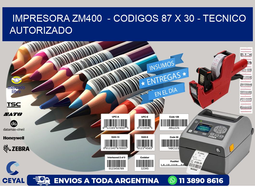 IMPRESORA ZM400 - CODIGOS 87 x 30 - TECNICO AUTORIZADO