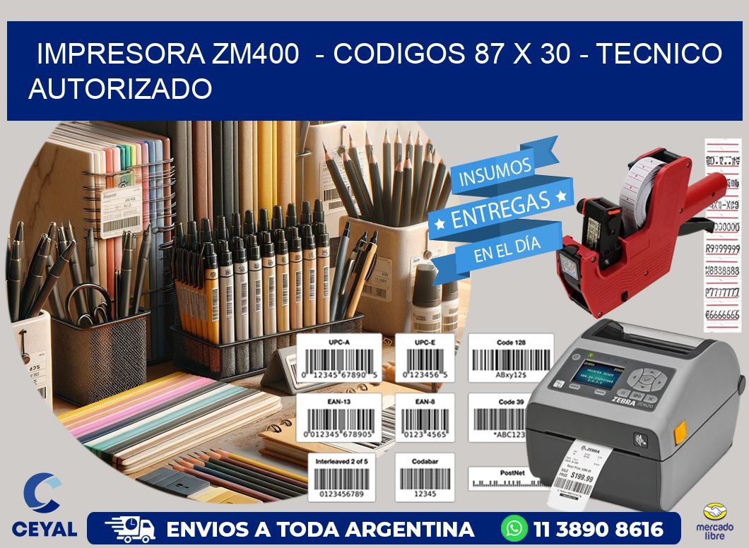 IMPRESORA ZM400  – CODIGOS 87 x 30 – TECNICO AUTORIZADO