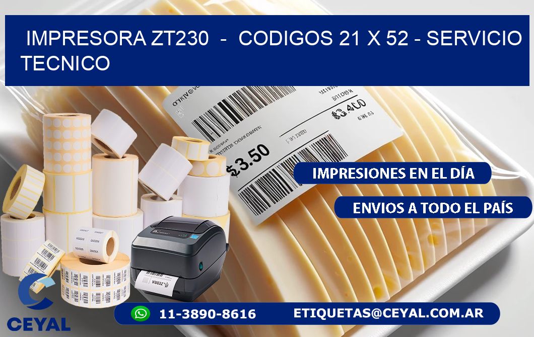 IMPRESORA ZT230  -  CODIGOS 21 x 52 - SERVICIO TECNICO