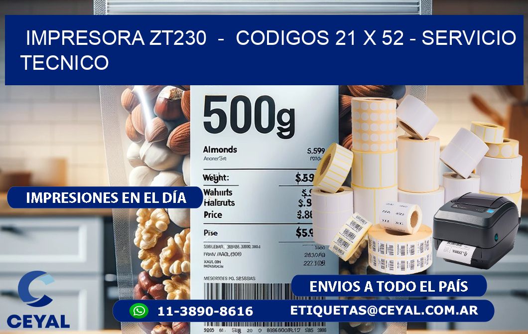 IMPRESORA ZT230  -  CODIGOS 21 x 52 - SERVICIO TECNICO