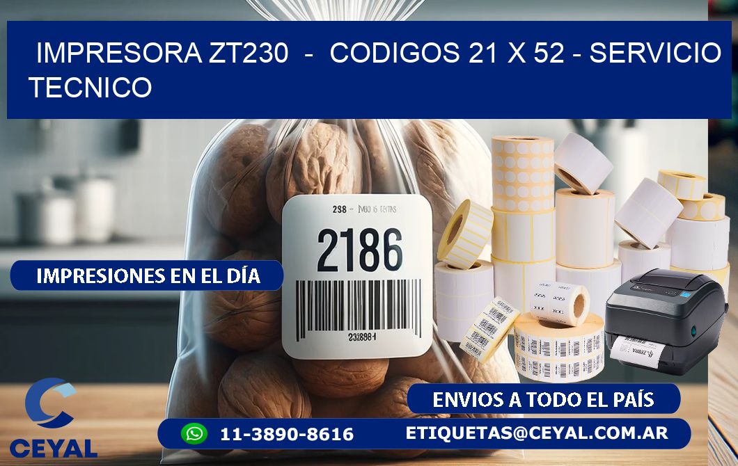 IMPRESORA ZT230  -  CODIGOS 21 x 52 - SERVICIO TECNICO
