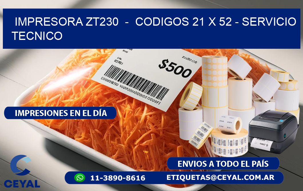 IMPRESORA ZT230  –  CODIGOS 21 x 52 – SERVICIO TECNICO