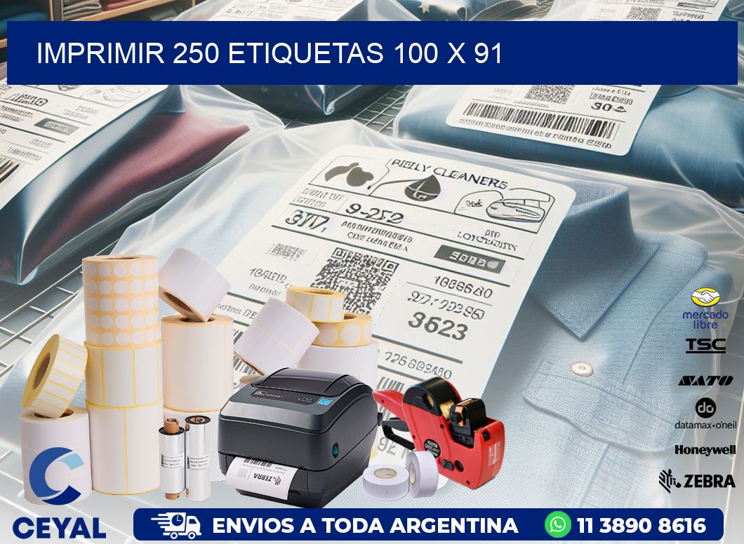 IMPRIMIR 250 ETIQUETAS 100 x 91