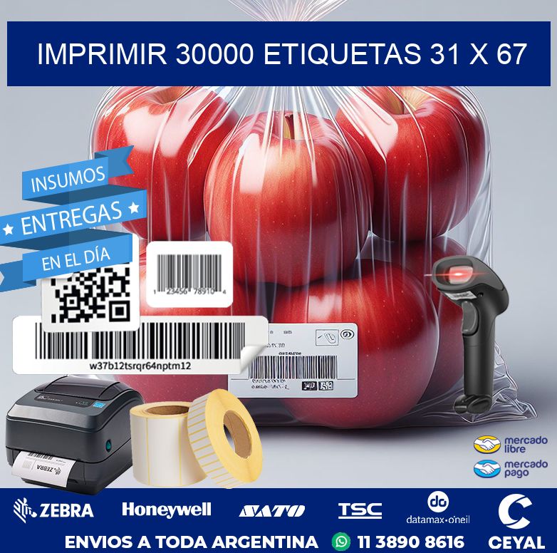 IMPRIMIR 30000 ETIQUETAS 31 x 67