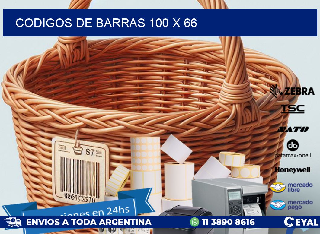 codigos de barras 100 x 66