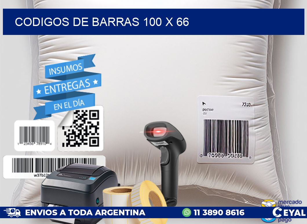 codigos de barras 100 x 66