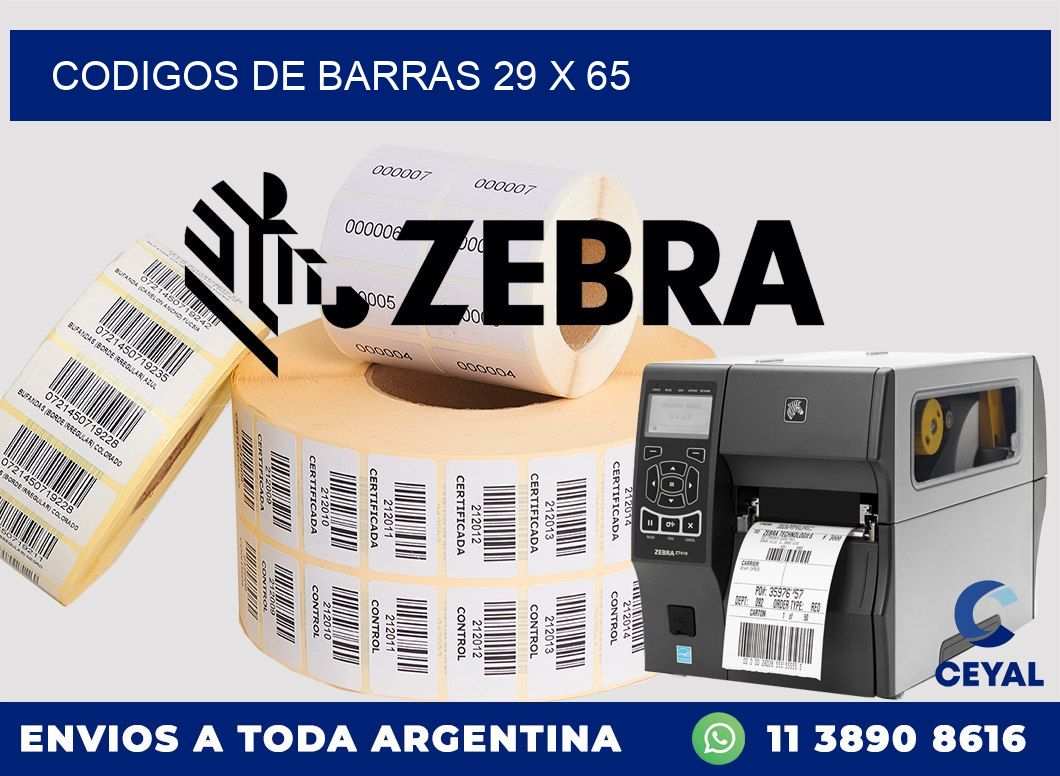 codigos de barras 29 x 65