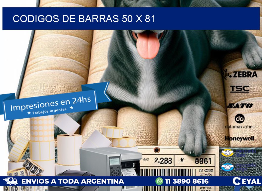 codigos de barras 50 x 81