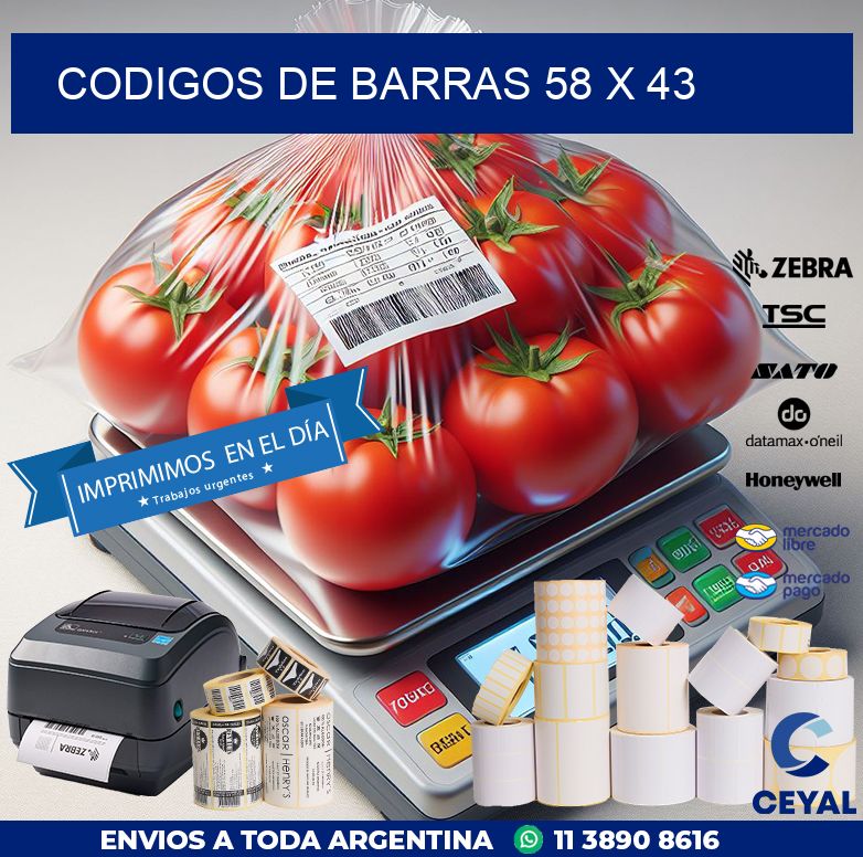codigos de barras 58 x 43