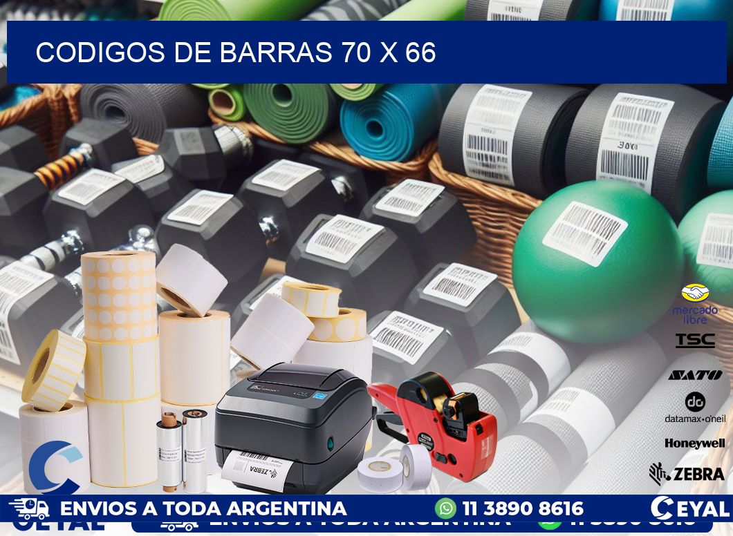 codigos de barras 70 x 66