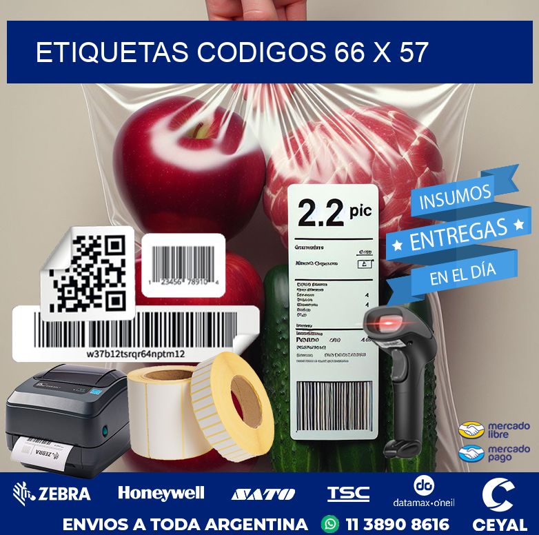etiquetas codigos 66 x 57