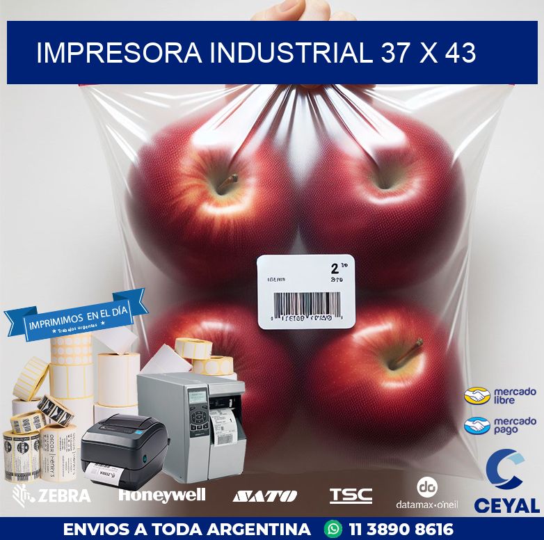 impresora industrial 37 x 43