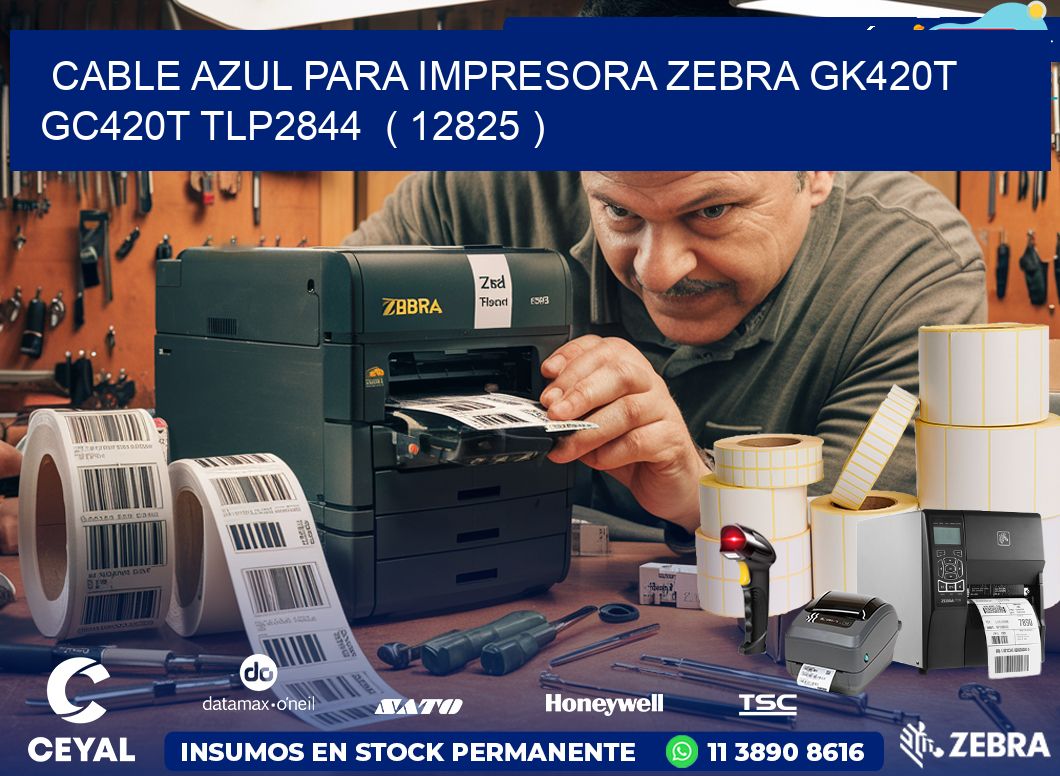 cable azul para impresora zebra GK420T GC420T TLP2844  ( 12825 )