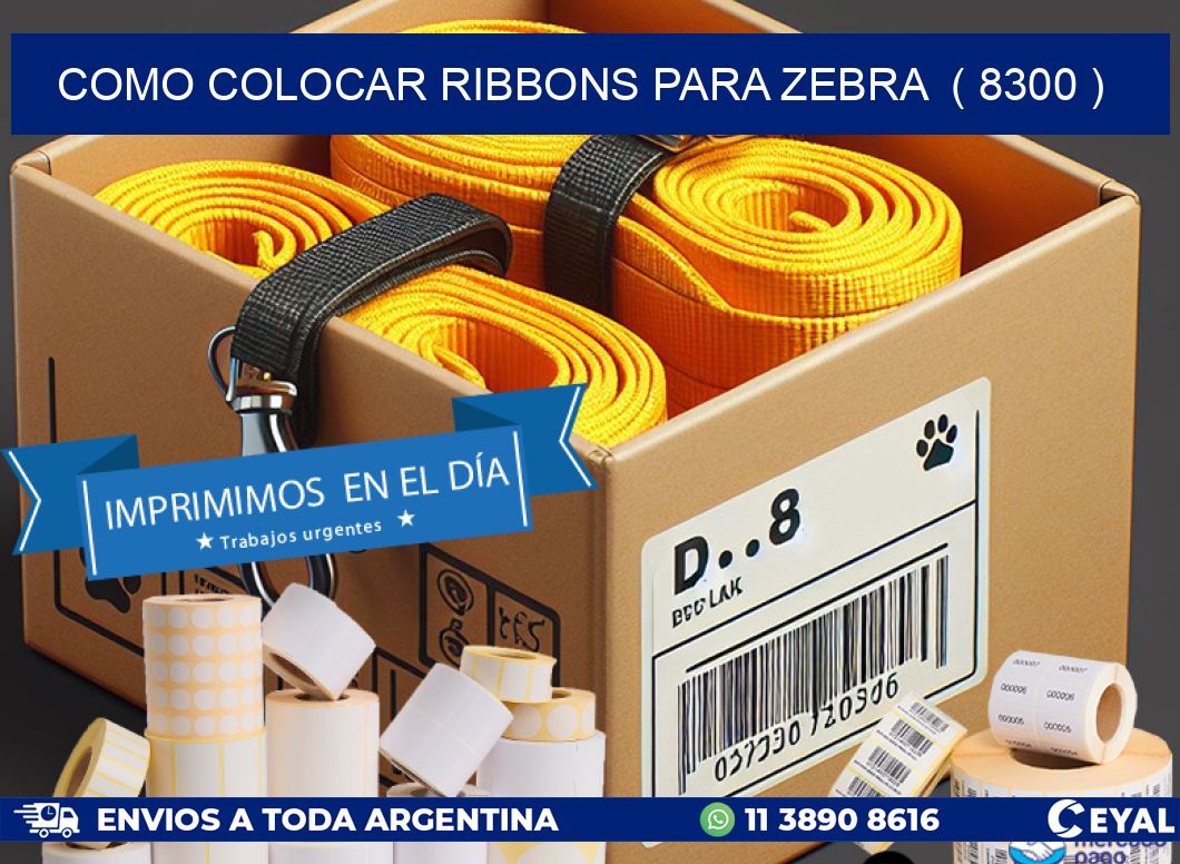 COMO COLOCAR RIBBONS PARA ZEBRA ( 8300 )