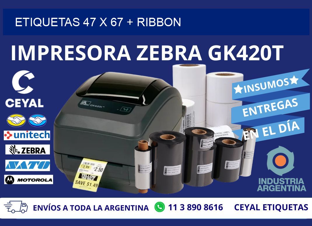 ETIQUETAS 47 x 67 + RIBBON