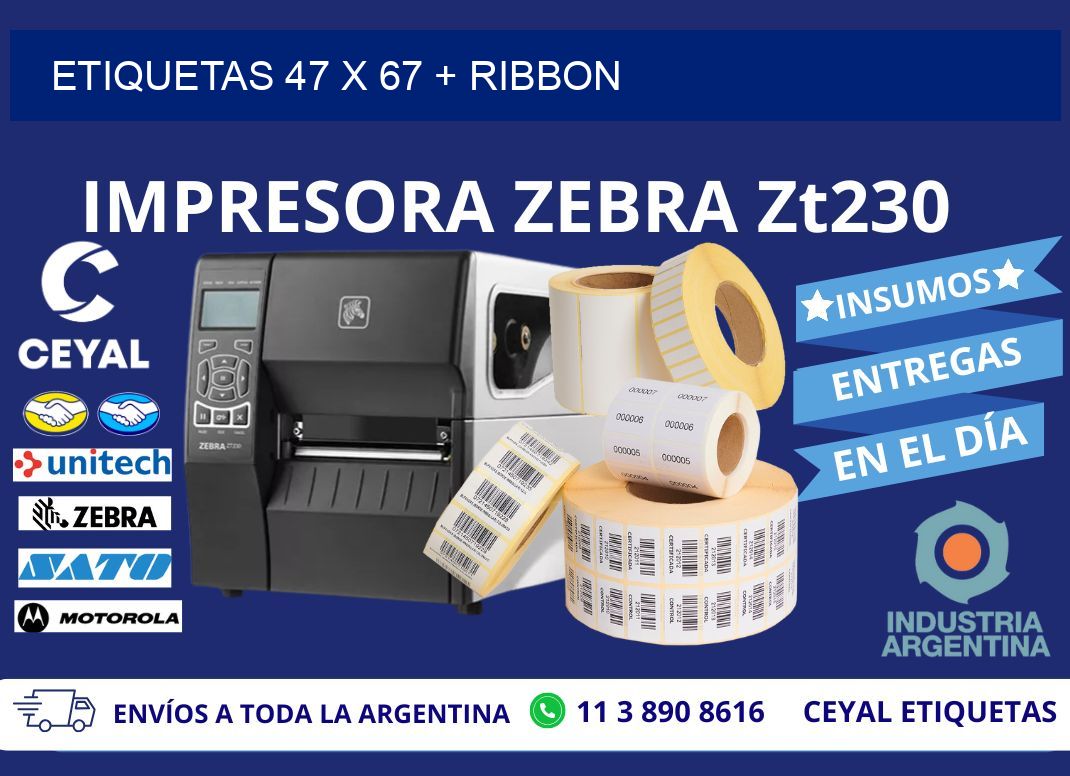 ETIQUETAS 47 x 67 + RIBBON