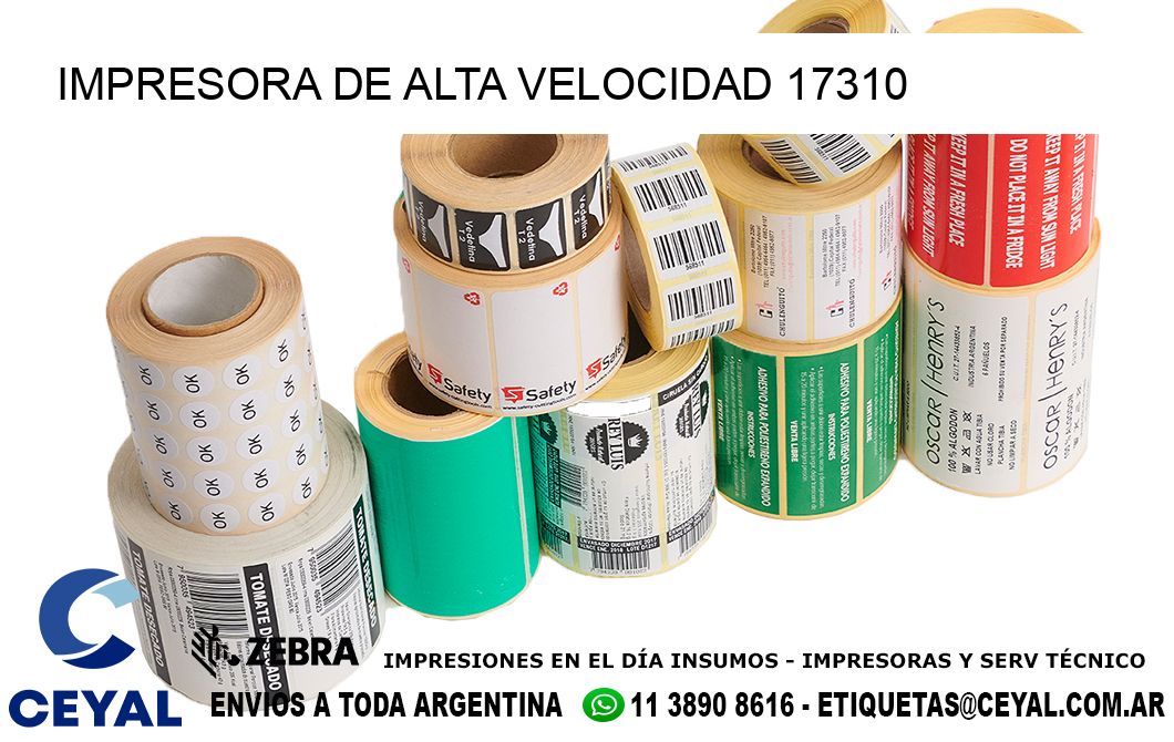 IMPRESORA DE ALTA VELOCIDAD 17310