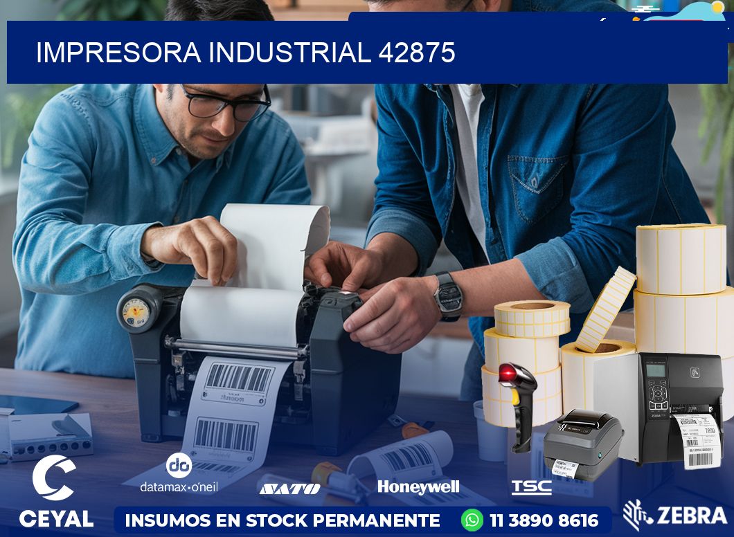 IMPRESORA INDUSTRIAL 42875