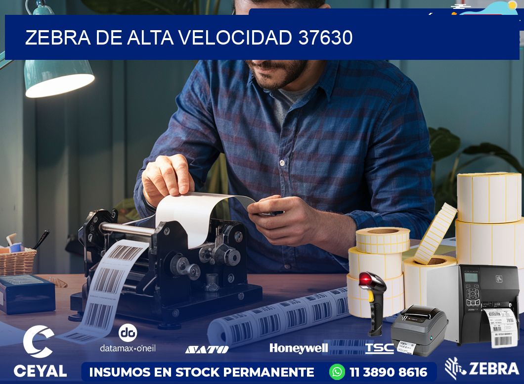 ZEBRA DE ALTA VELOCIDAD 37630