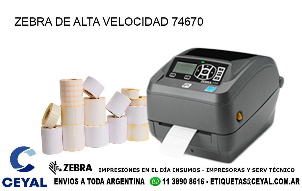 ZEBRA DE ALTA VELOCIDAD 74670