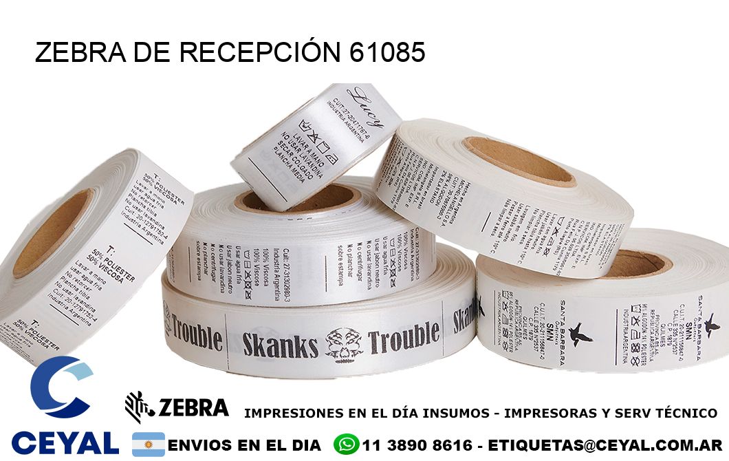 ZEBRA DE RECEPCIÓN 61085