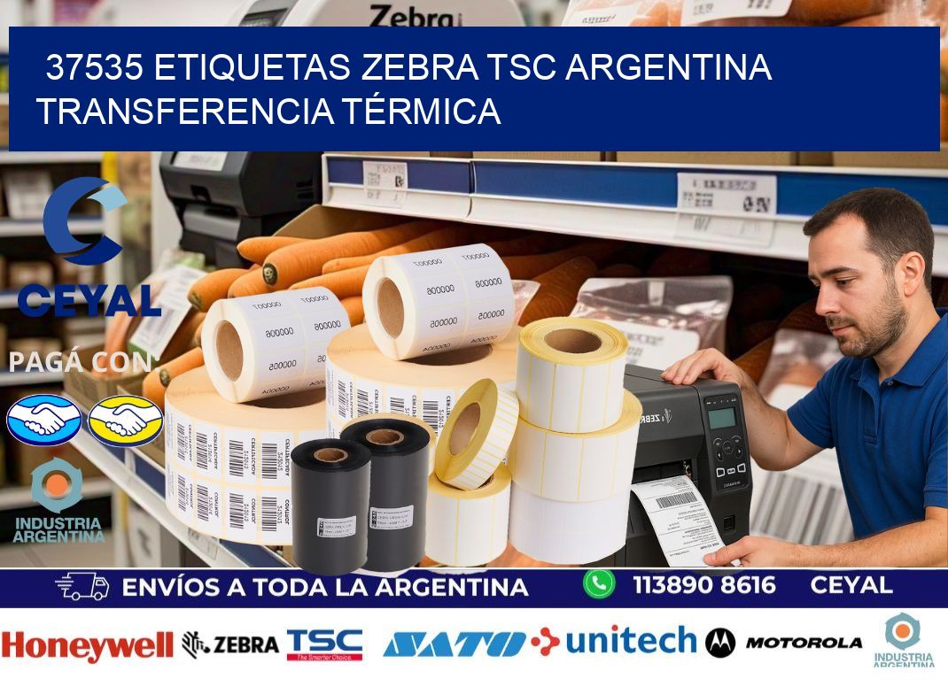 37535 etiquetas zebra tsc argentina TRANSFERENCIA TÉRMICA