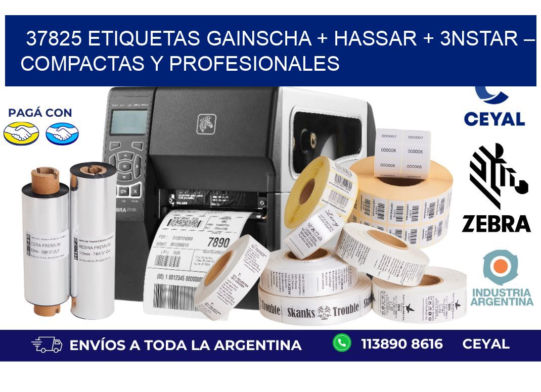 37825 etiquetas Gainscha + Hassar + 3nStar – Compactas y Profesionales