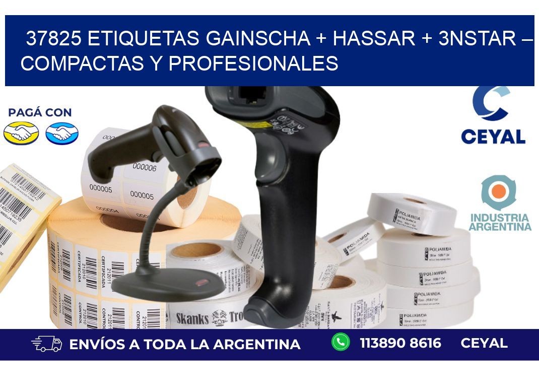 37825 etiquetas Gainscha + Hassar + 3nStar – Compactas y Profesionales