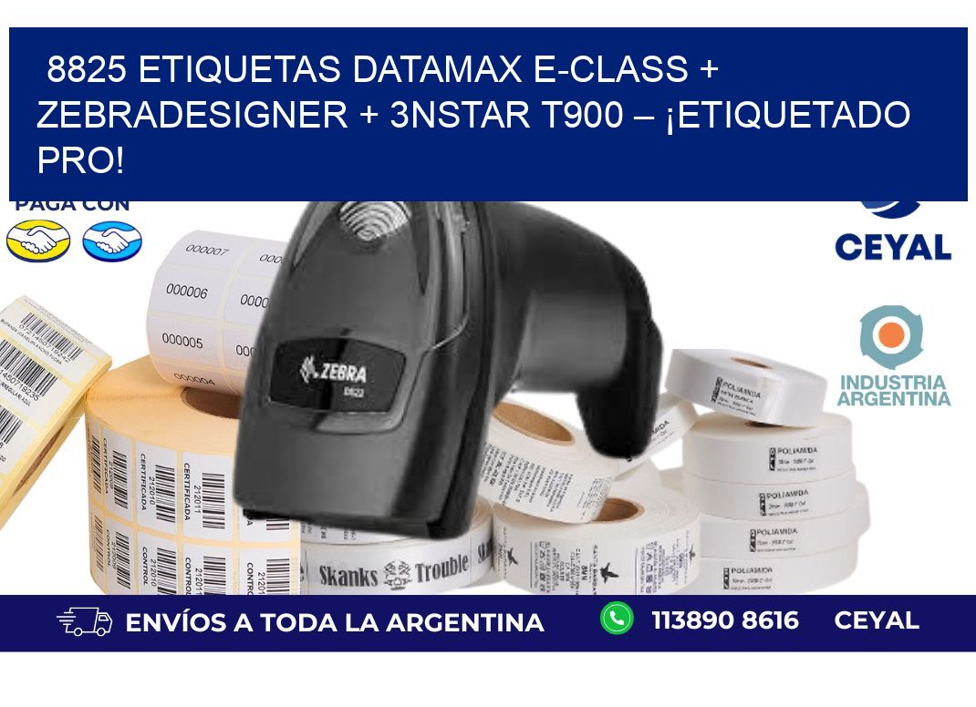 8825 ETIQUETAS Datamax E-Class + ZebraDesigner + 3nStar T900 – ¡Etiquetado pro!