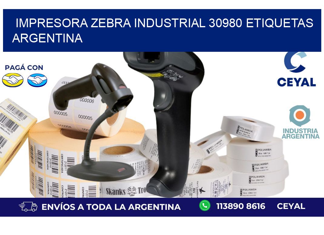 Impresora zebra industrial 30980 etiquetas argentina