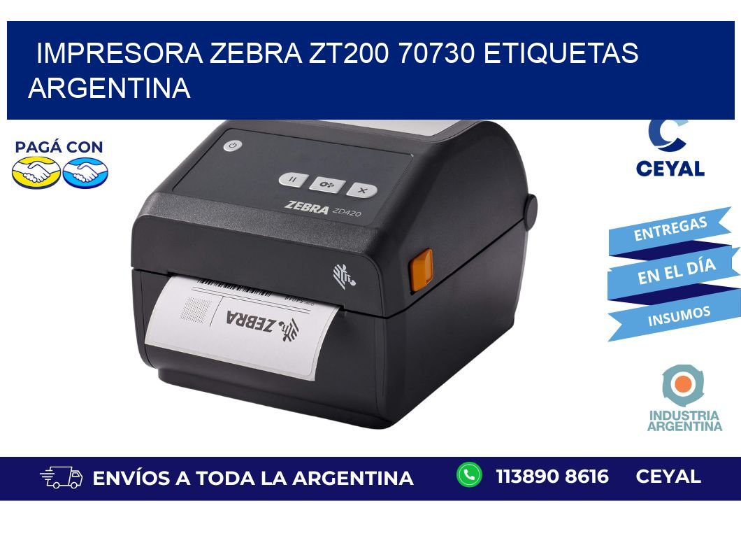 Impresora zebra zt200 70730 etiquetas argentina
