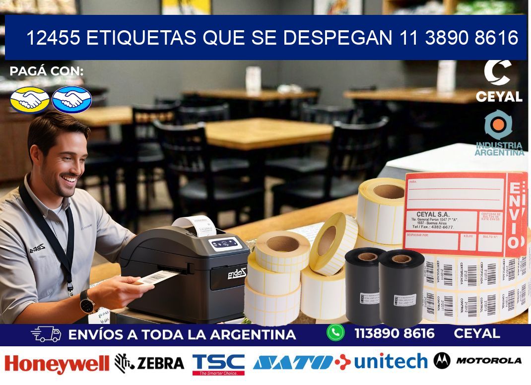 12455 ETIQUETAS QUE SE DESPEGAN 11 3890 8616