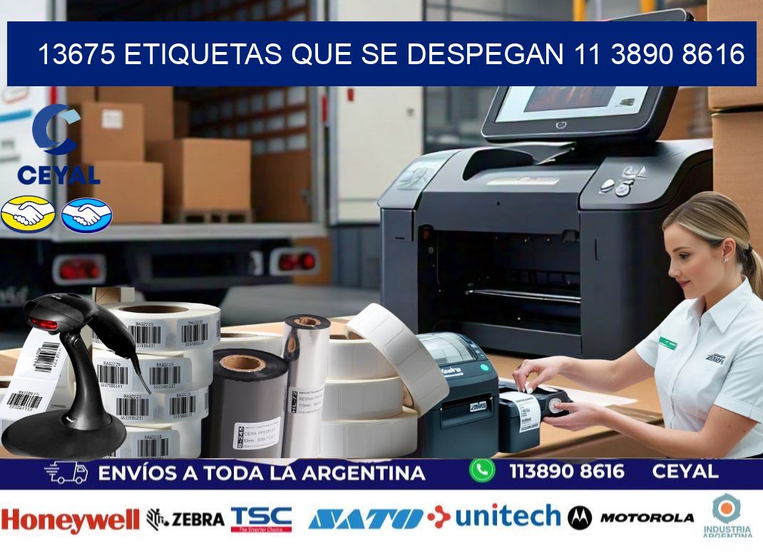 13675 ETIQUETAS QUE SE DESPEGAN 11 3890 8616
