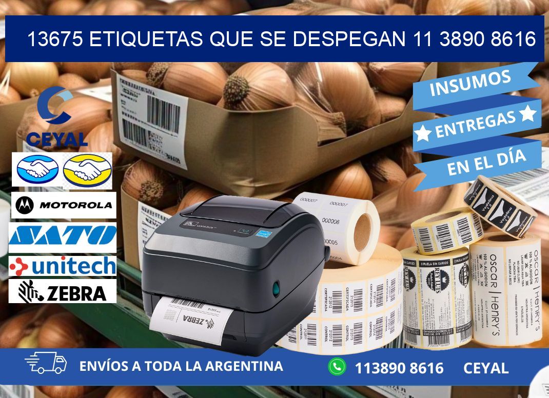 13675 ETIQUETAS QUE SE DESPEGAN 11 3890 8616