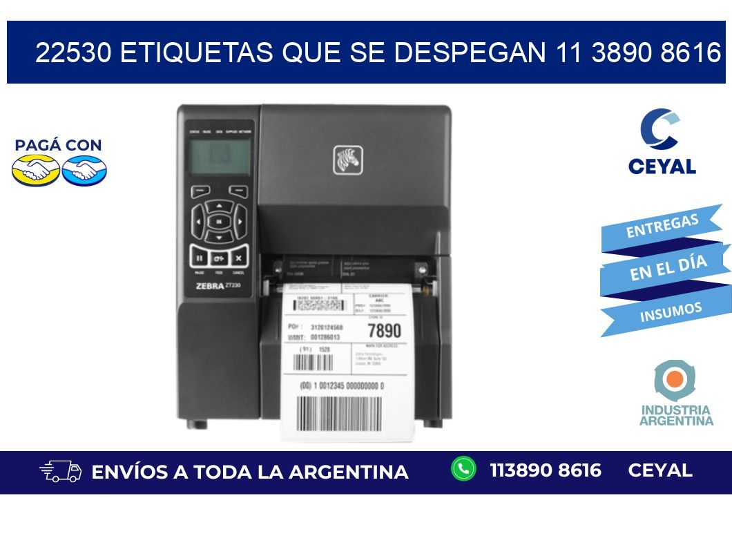 22530 ETIQUETAS QUE SE DESPEGAN 11 3890 8616