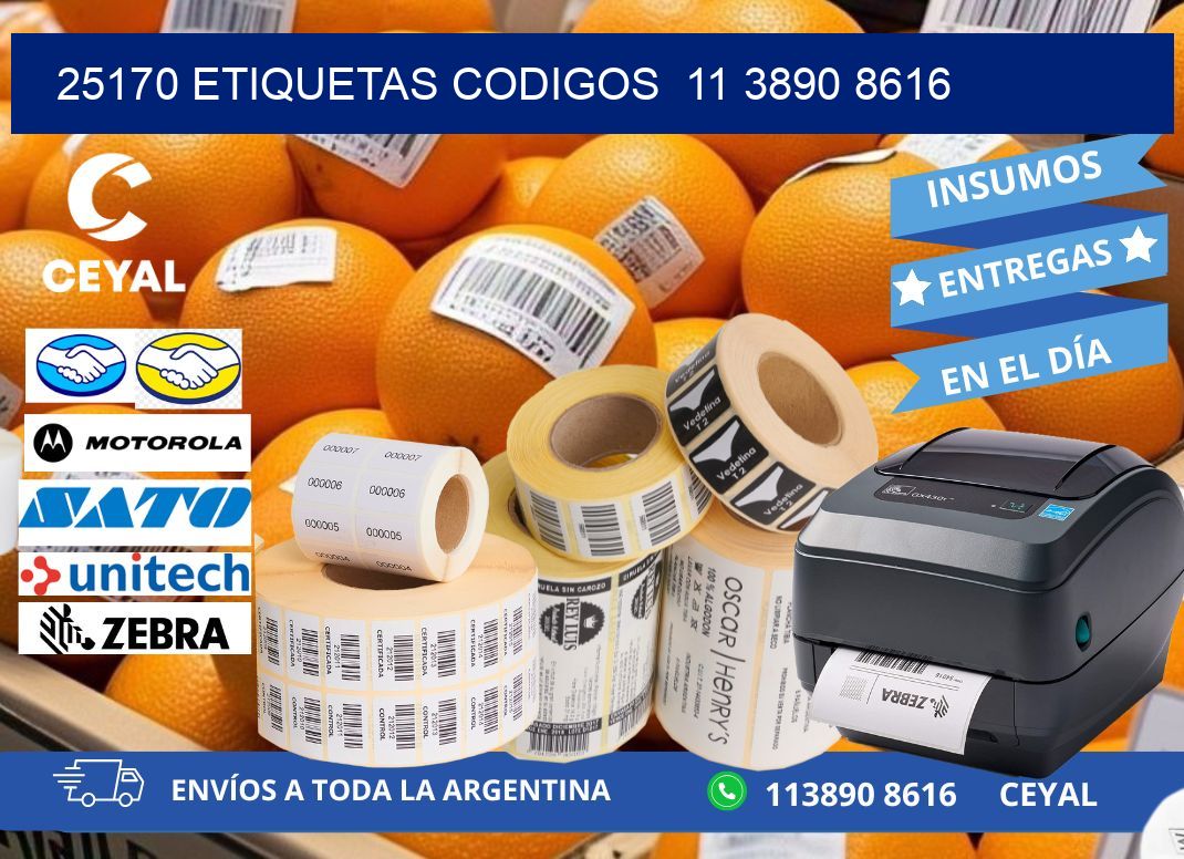 25170 ETIQUETAS CODIGOS 11 3890 8616