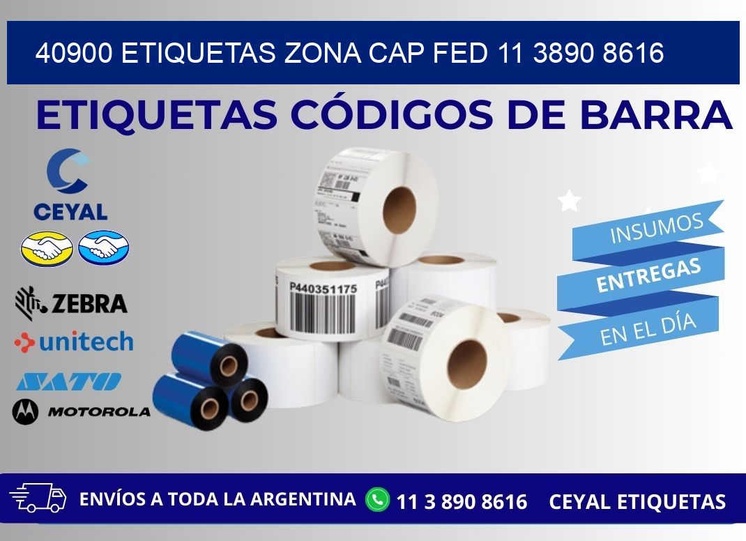 40900 ETIQUETAS ZONA CAP FED 11 3890 8616