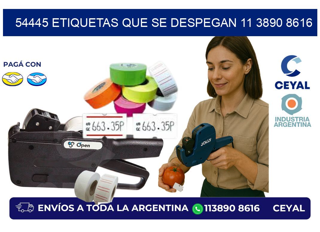 54445 ETIQUETAS QUE SE DESPEGAN 11 3890 8616