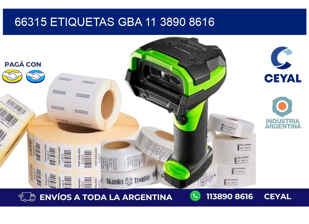 66315 ETIQUETAS GBA 11 3890 8616