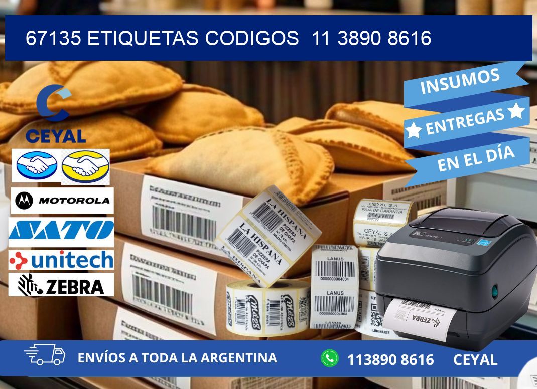 67135 ETIQUETAS CODIGOS 11 3890 8616