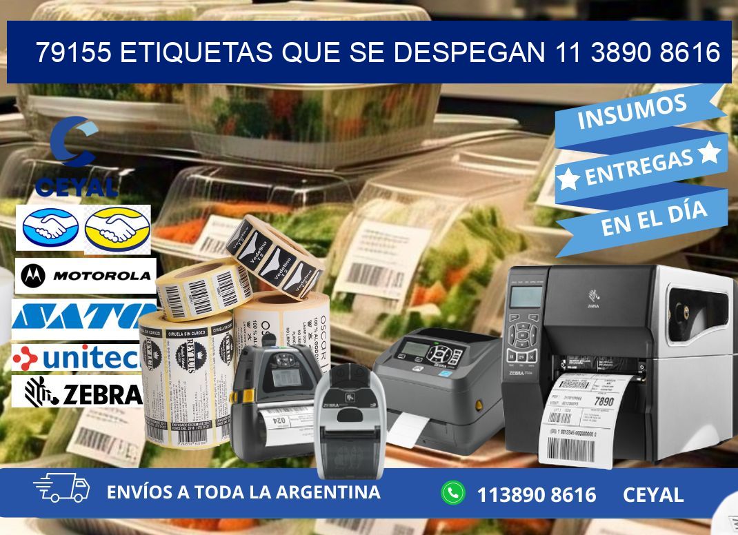 79155 ETIQUETAS QUE SE DESPEGAN 11 3890 8616