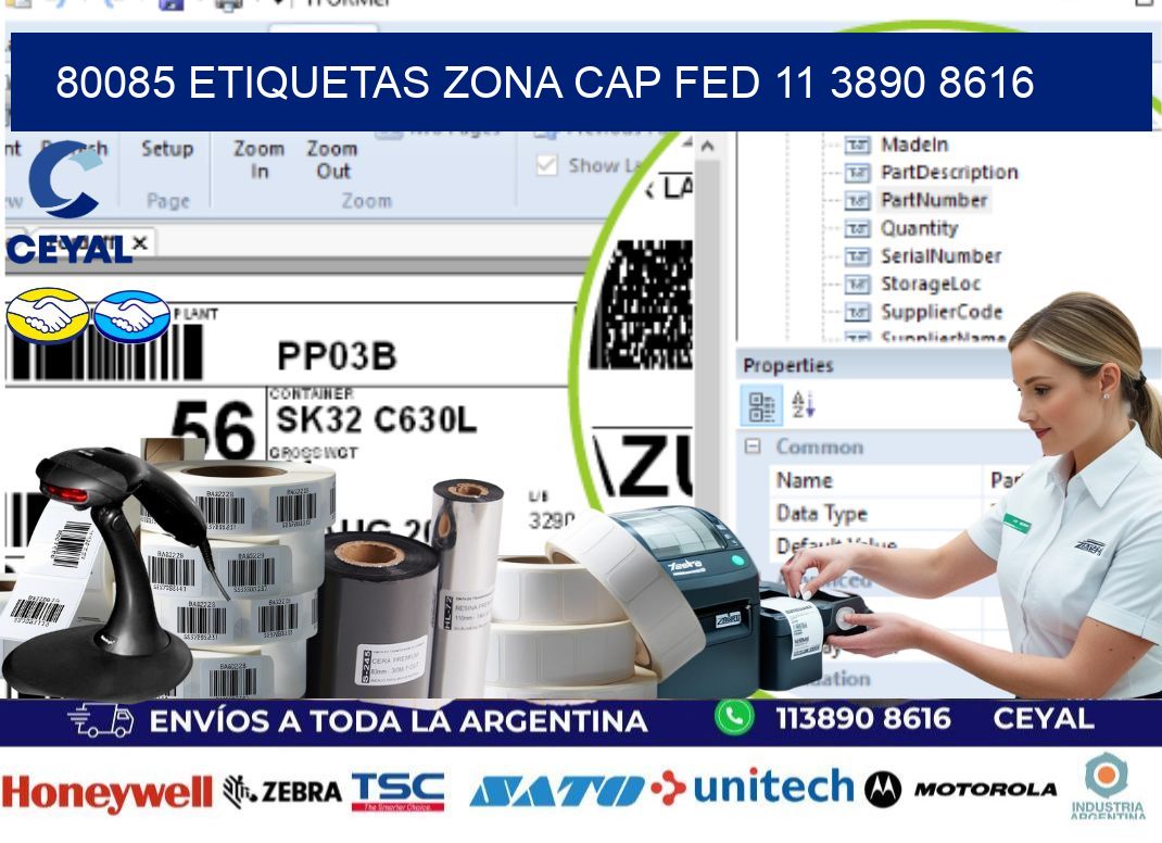 80085 ETIQUETAS ZONA CAP FED 11 3890 8616