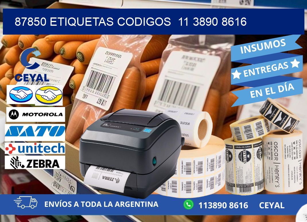 87850 ETIQUETAS CODIGOS 11 3890 8616