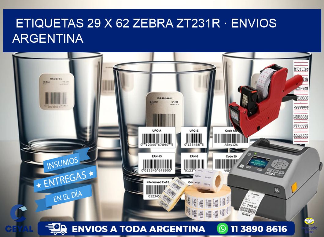 ETIQUETAS 29 x 62 ZEBRA ZT231R · ENVIOS ARGENTINA