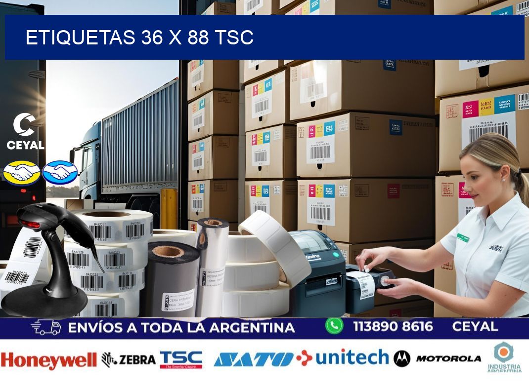 ETIQUETAS 36 x 88 TSC