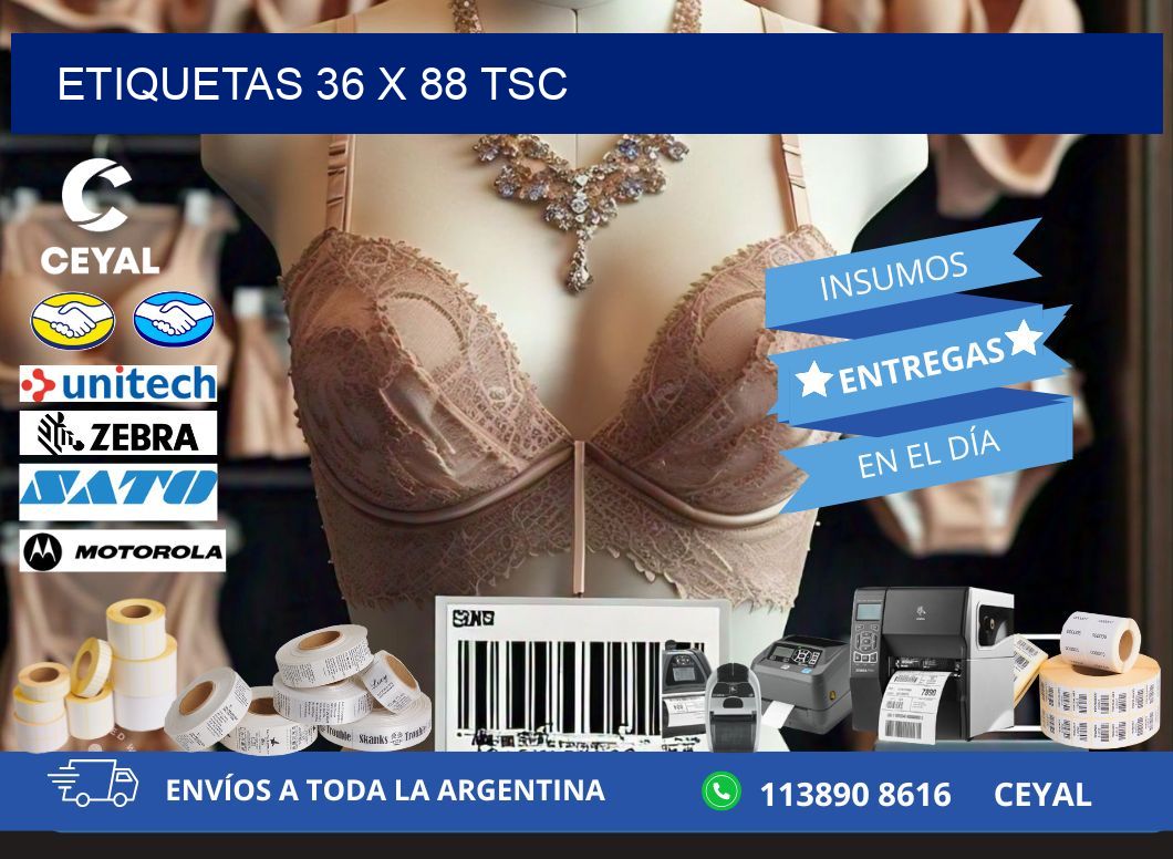 ETIQUETAS 36 x 88 TSC