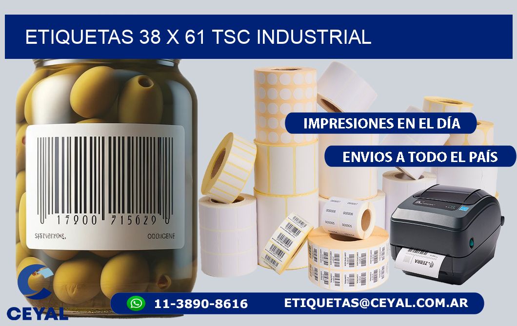 ETIQUETAS 38 x 61 TSC INDUSTRIAL